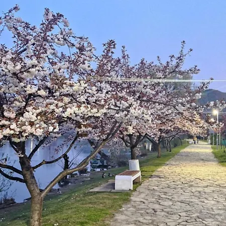 빌라 House