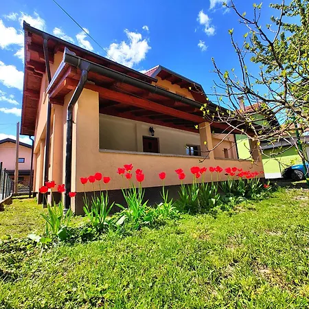 Villa House